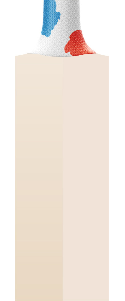 Cricket Bat Stickers MS